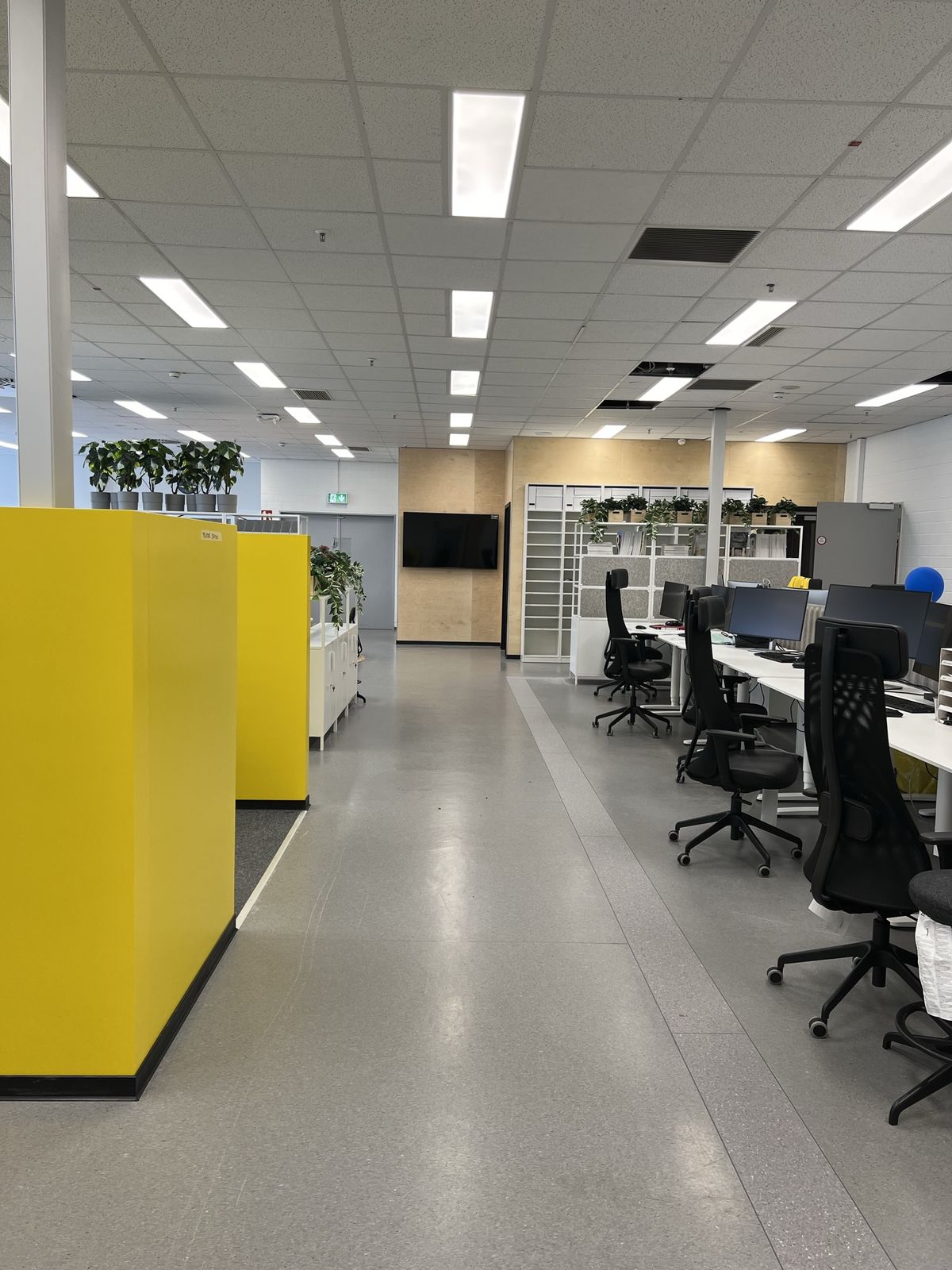 Open-Office-Bereich mit Arbeitsplätzen und Tageslicht